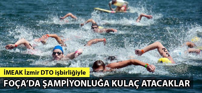4. TYF-DTO İzmir Açık Su Türkiye Yüzme Şampiyonası Foça'da gerçekleşiyor