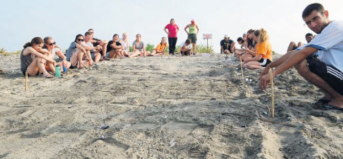 Caretta carettaları üzecek karar