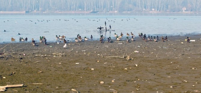 Tuna Nehri kuraklıkla mücadele ediyor
