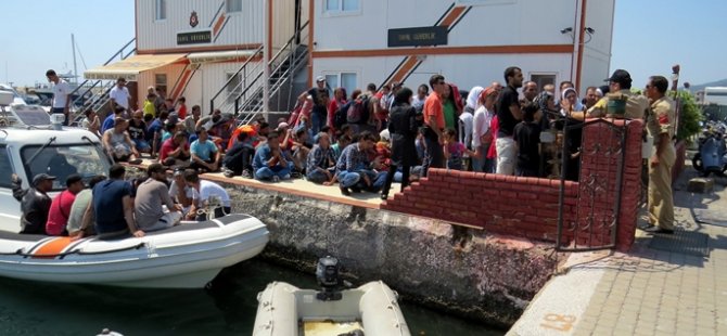 Ege Denizi'nde 327 kaçak yakalandı