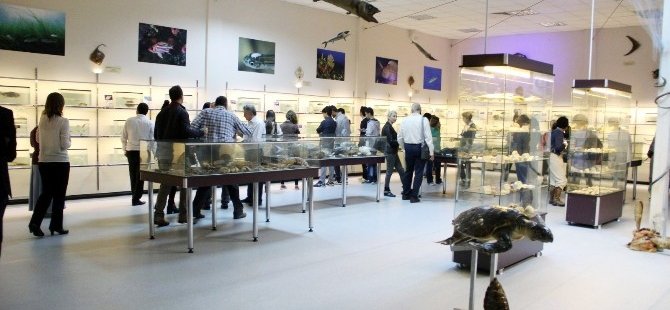 İzmir'de Deniz Canlıları Koleksiyon Merkezi  açıldı