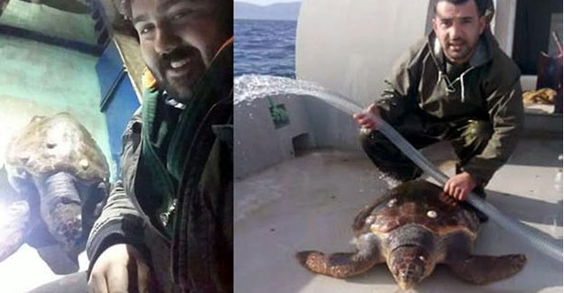 Marmara'da balıkçı ağlarına caretta takıldı