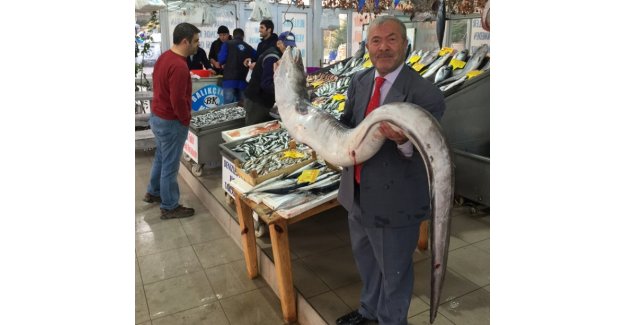 Marmara’da dev yılanbalığı şaşkınlık yarattı