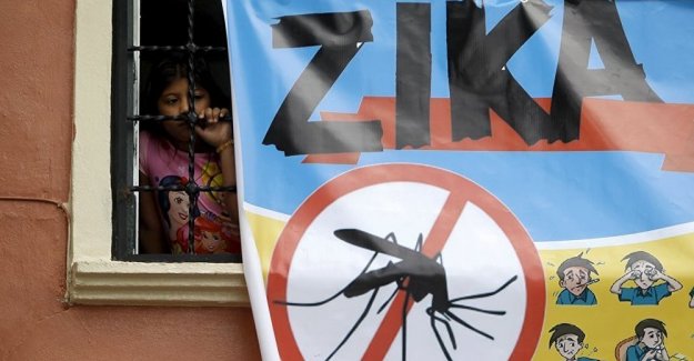 Çin’de Zika virüsüne rastlandı