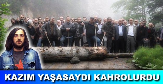 Artvin dağları talan ediliyor