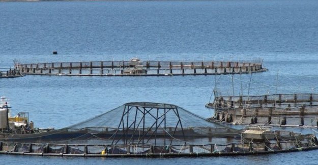 'Sinop turizmini balık çiftliğine feda edemeyiz'