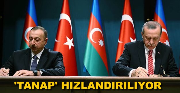 Cumhurbaşkanı Erdoğan, TANAP'ın hızlandırılacağını söyledi