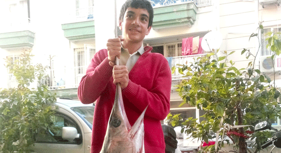Denizcilik öğrencisi,oltayla 20 kiloluk kılıç balığı yakaladı