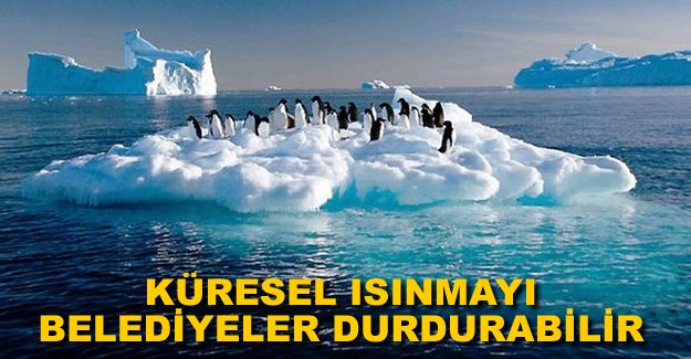 Belediyeler küresel ısınmayı durdurabilir