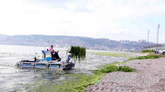 İzmit Körfezi'de denetimler devam ediyor