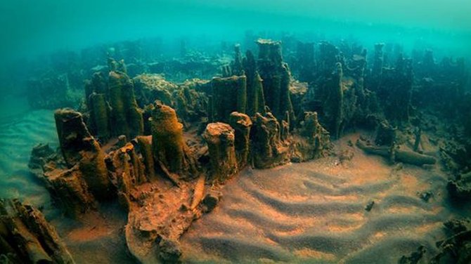 Van Gölü'nde mikrobiyolit alan