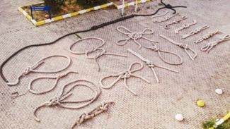 İzmir'de gemi bağları sergisi