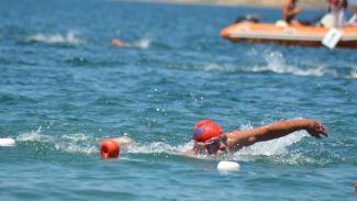 Foça’da kulaç 'Kabotaj' için atılacak