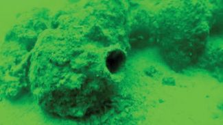 Amatör dalgıçlar Marmara'da antik kent buldu