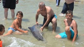 Kıyıya vuran yavru yunusu vatandaşlar kurtardı