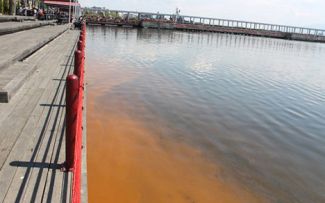 İzmit Körfezi'nde deniz kirliliği