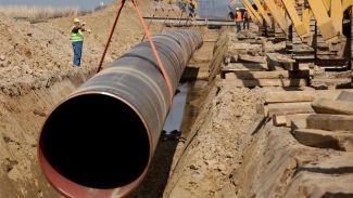 Rus Enerji Bakanı'ndan Türk Akımı ile ilgili açıklama