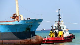 Samsun’da karaya oturan Tokay Akar kurtarıldı