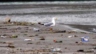 Türkiye 'çevre performansı'nda sınıfta kaldı