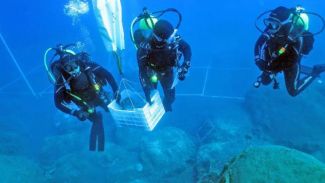 Adrasan'dan tarih çıktı