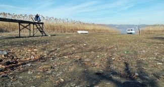 Sapanca Gölü'nde yok olma tehlikesi