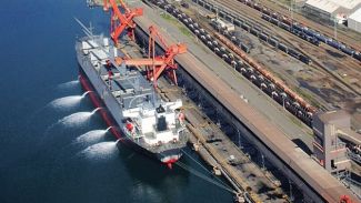 Armatörlere 50 milyar dolar 'biyo istila' faturası