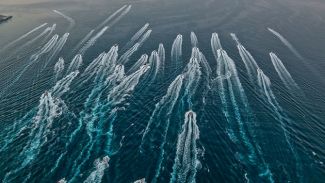 Uluslararası Balıkçılık Turnuvası Başlıyor