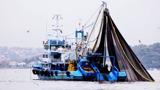 Balıkçılar Karadeniz'e açılamayınca balık fiyatları yükseldi