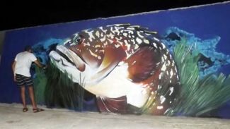 Nesli tükenme riski olan orfoz balığı liman mendireğinde