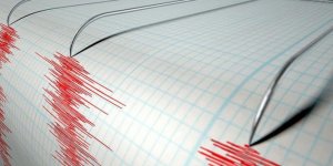 Bodrum'da 4.6 büyüklüğünde deprem!