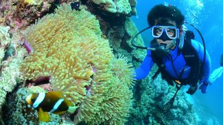 25 milyonu yıllık Büyük Set Resifi hayatını kaybetti