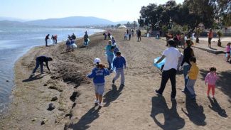 Urla'da "Uluslararası Kıyı Temizliği"