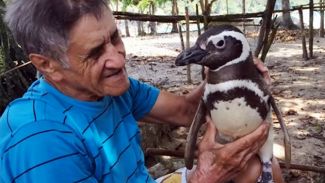 Vefalı insanlar ararken “Vefalı Penguen”e denk gelmek!