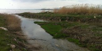 Van Gölü pislik çukuruna dönüştü