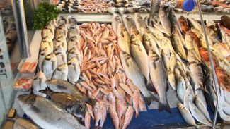 STG yanıltıcı reklamlara tepki gösterdi