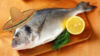 STG, 125 milyonluk Meksika pazarını gözüne kestirdi