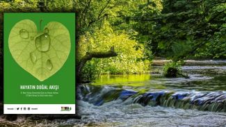 Orman varsa su da var!