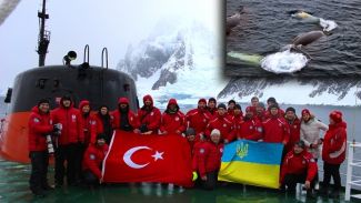 Kambur balinalar için Antarktika’ya gitti