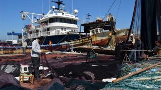 Trabzon'da balıkçılar erken "Paydos" dedi