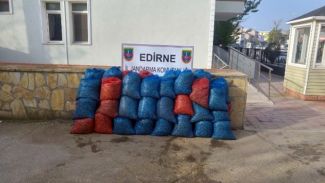 Edirne'de kaçak deniz patlıcanı ve midyeler yakalandı