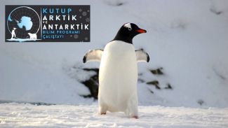 Kutup (Arktik ve Antarktik) Bilim Programı Çalıştayı düzenlenecek