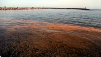 Planktonlar çoğaldı, Marmara Denizi turuncuya büründü!