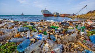 Plastik atıklar okyanusları tehdit ediyor!