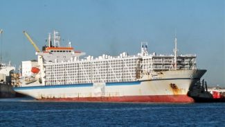 32 bin büyükbaş hayvan Katar'a ulaştı