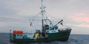 Kartal ‘Böyle balıksız bir sezon görmedim’