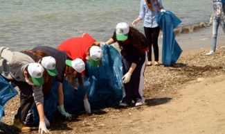 Öğrenciler, deniz kaplumbağaları için seferber oldu