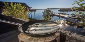 Türkiye "Norveç Uskumrusu"nu sevdi