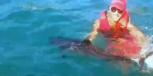 Kdz.Ereğli'de yavru yunus balığını cankurtaran kurtardı