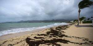 Gemi Tedarikçileri Derneği (TURSSA) 6.Olağan Genel Kurul toplandı.