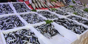 Tezgahlarda hamsi bereketi